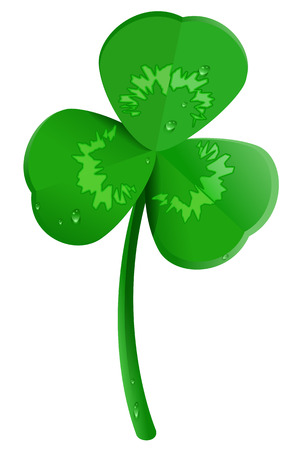 Green shamrock clover leaf with dew drops. Lucky trefoil symbol of St. Patrick's Day.のイラスト素材