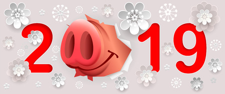 2019 year of pig on Chinese calendar. Vector greeting cardのイラスト素材