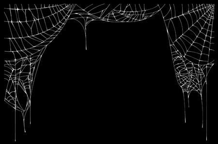 White torn spider web on black background. Vector illustrationのイラスト素材
