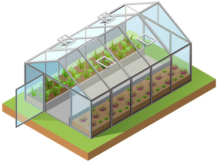 Greenhouse isometric 3d icon. Growing seedlings in glasshouse. Isolated on white vector illustrationのイラスト素材
