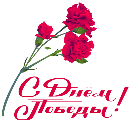 May 9 Victory Day translation from Russian. Red carnation flowers bouquet symbol memory of veterans. Isolated vector illustration template greeting cardのイラスト素材