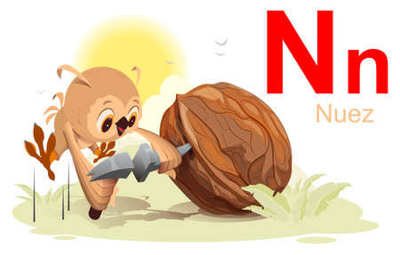 Spanish alphabet letter n nuez walnut translation spanish. Fun bird owl stab nut. Vector cartoon illustration isolated on whiteのイラスト素材