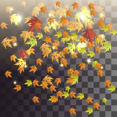 falling leaves on a transparent backgroundのイラスト素材