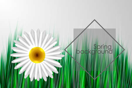Abstract spring background with flowers vector illustration.のイラスト素材