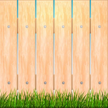 Bright spring background with green grass. Vector illustrationのイラスト素材