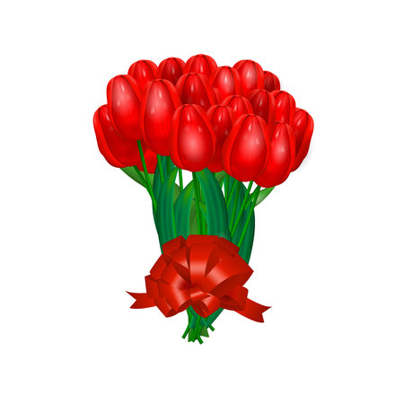 bouquet of red tulips isolated on white background. Vector illustrationのイラスト素材