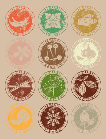 Collection of spices. Set labelsのイラスト素材