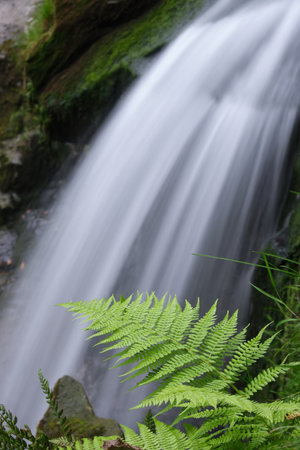 Waterfall up close. Fern leaf in the foreground. Nature in the mountainsの写真素材
