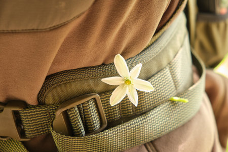 a small white flower is tucked behind the Molle system of a military tactical belt of a backpack strap on the body of a soldier in an olive sweater jacket. A symbol of hope and love for a man at warの写真素材