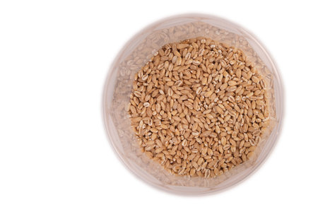 pearl barley in plastic jars isolate, top view with reflection on the wallsの写真素材