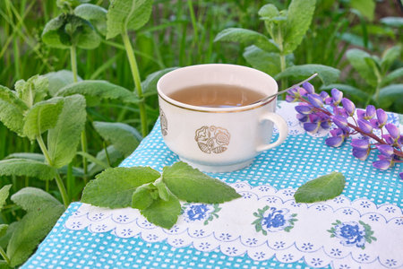 drink tea from mint plants in a mug in the garden on a tablecloth with flowers. natural. mint leavesの写真素材