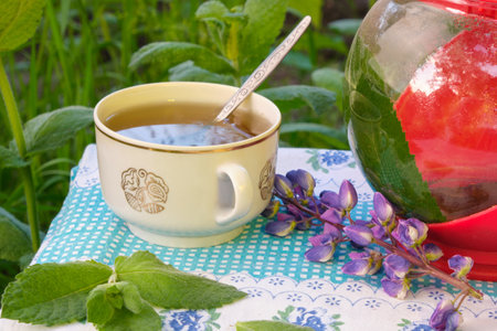 drink tea from mint plants in a mug in the garden on a tablecloth with flowers. Kettle. natural. Mint leaves, spoonの写真素材