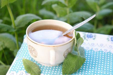 drink tea from mint plants in a mug in the garden on a tablecloth with flowers. natural. mint leavesの写真素材