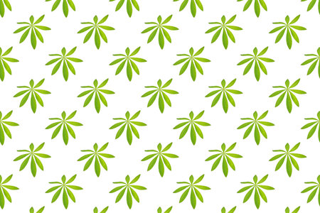 pattern of lupinus leaves, plant, isolated on whiteの写真素材