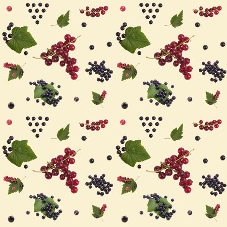 Pattern background, red and black currant berries, isolateの写真素材