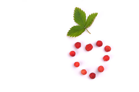 Fragaria berries, wild strawberry heart in a plate isolated on white top view, wild strawberry leafの写真素材