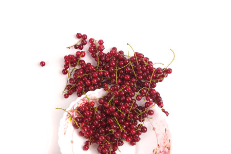 red currant berries in a plate isolated on white top viewの写真素材