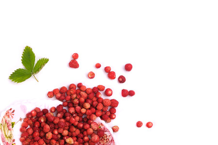 Fragaria berries, wild strawberry in a plate isolated on white top view, wild strawberry leafの写真素材