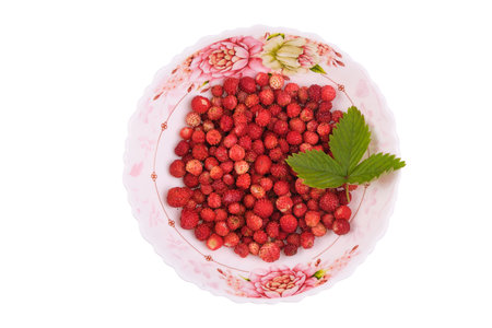 Fragaria berries, wild strawberry in a plate isolated on white top view, wild strawberry leafの写真素材