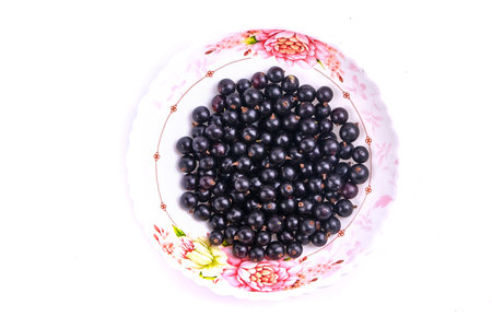 black currant berries in a plate isolated on white top viewの写真素材