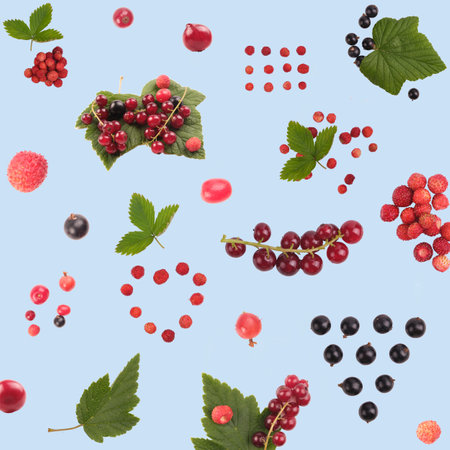 Pattern background, various berries isolateの写真素材