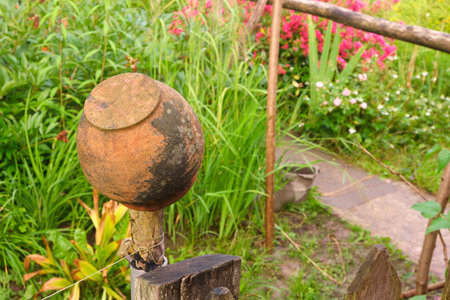 clay pot on the fence in the country, grass and flowersの写真素材