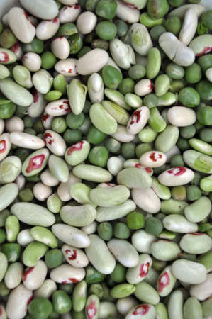 A mixture of young, immature multicolored grains beansの写真素材