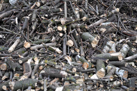 Shredded branches of trees and shrubs, used for heating