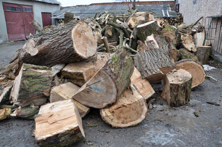 In a pile of pieces of wood cut into firewood for heating