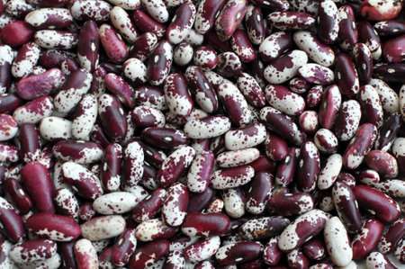 Background from a crop of dry beans