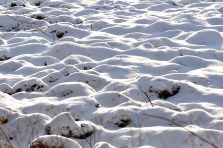 Winter landscape after the first snowfallの写真素材