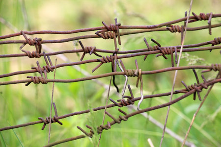 Barbed wire. Barbed steel wire used to build cheap fences.