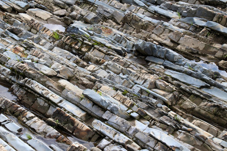 Flysch sedimentary rock formations in the Ukrainian Carpathians