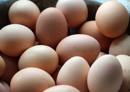 A pile of freshly laid chicken eggs