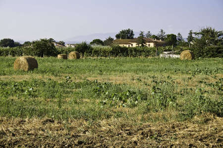 Campaign in Umbriaの写真素材