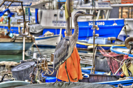 Small fishing villageの写真素材