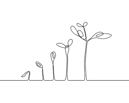 Continuous one line drawing Plant growth process. Vector illustrationのイラスト素材