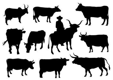 Bulls and cows silhouettesのイラスト素材
