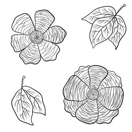 Vector hand drawn flowersのイラスト素材