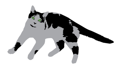 Black and white vector catのイラスト素材