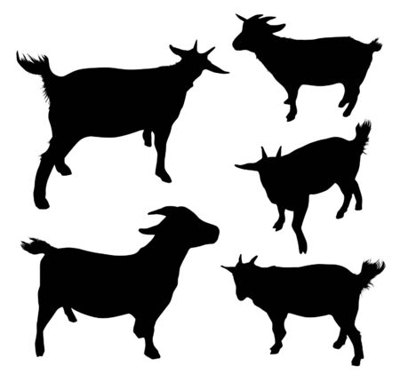 Vector set of goat silhouettesのイラスト素材