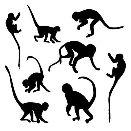 Vector set of monkey silhouettesのイラスト素材