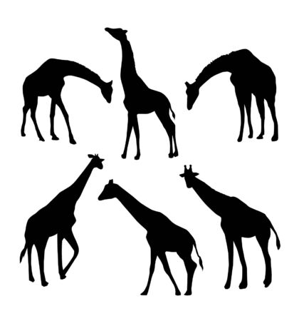 Set of giraffe silhouettesのイラスト素材