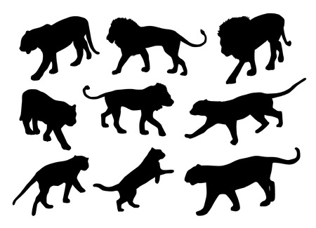 Lions and tigers silhouettes imagesのイラスト素材