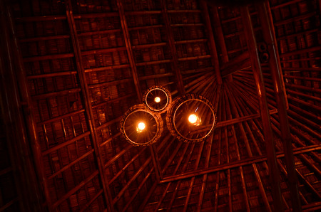bamboo tungsten   downlightの写真素材
