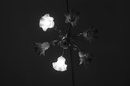 light in darkの写真素材