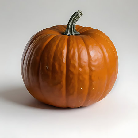 Pumpkin isolated on a white background. 3d render.の素材