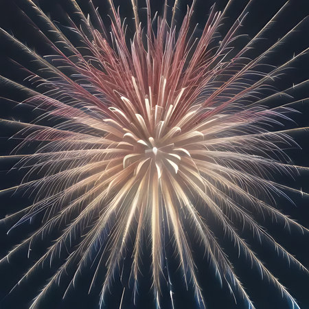 Colorful Fireworks on the black sky background (close up)の素材