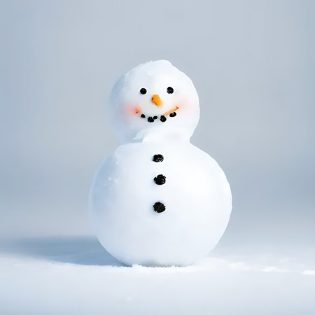 Snowman on white background. Christmas and New Year holidays concept.の素材