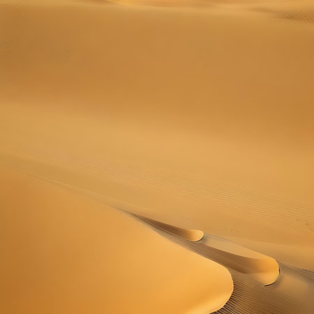 the empty quarter  and outdoor  sand  dune in oman old desert rub al khaliの素材